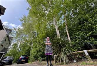 ‘50ft trees are making our lives a misery’