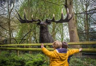 Things to do with the kids in Kent during the February half-term in 2024