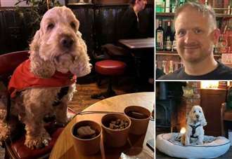 ‘If you don’t like dogs in pubs - this probably isn’t the place for you’
