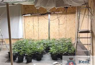 Third cannabis farm found within week