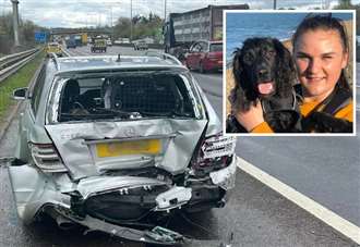 ‘Crate saved my dog’s life in 70mph crash’