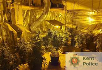 Man arrested after raid unearths cannabis hoard
