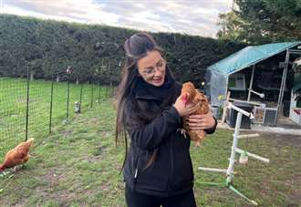 Clucking mad: ‘Why I decided to open an all-inclusive hen hotel’