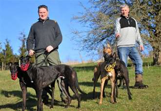 Big prize beckons for shopfitters-turned-greyhound trainers