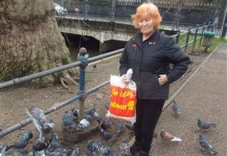 Pensioner slapped with £75 fine for feeding ducks