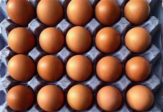 Free range eggs no longer on sale