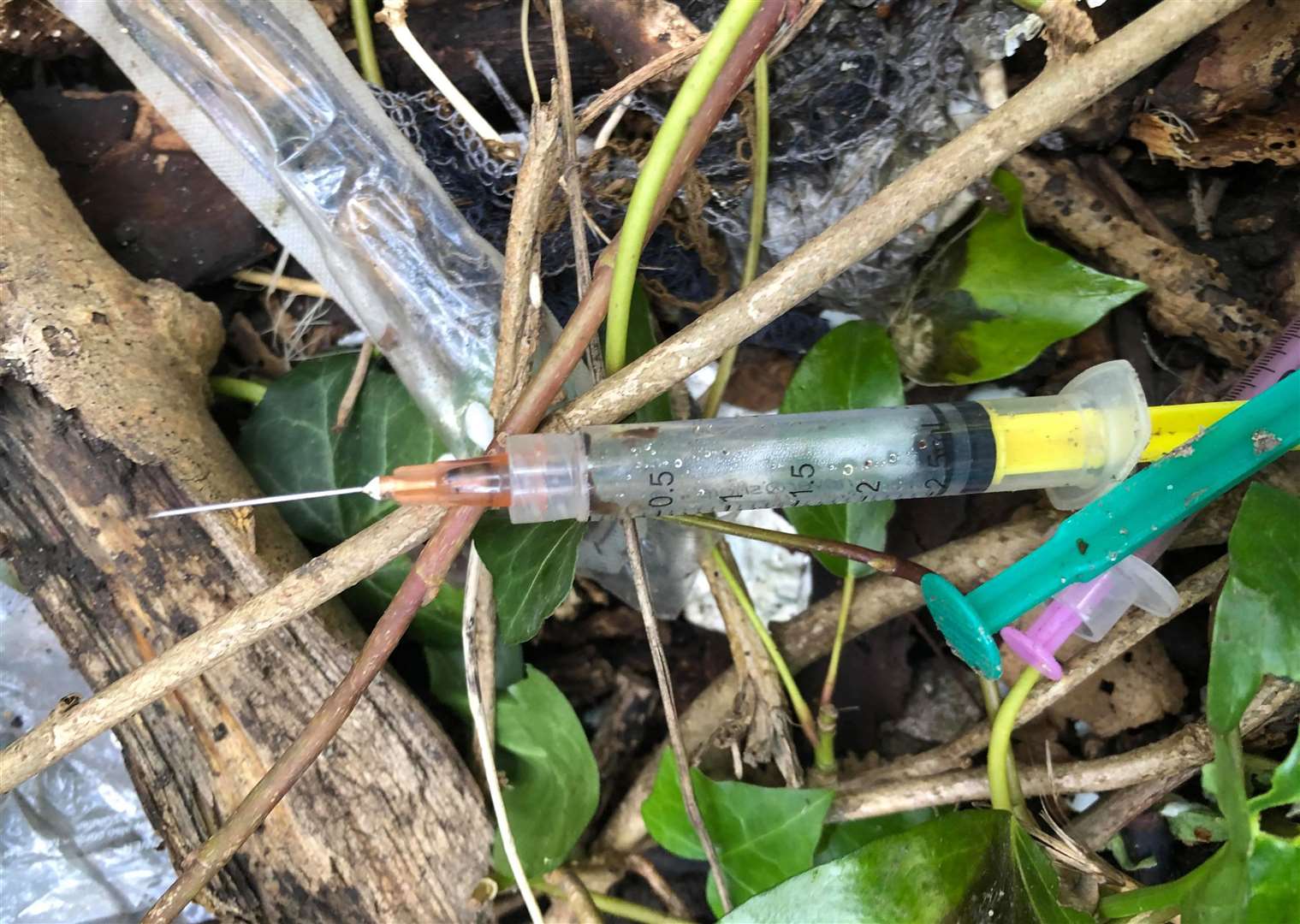 Needles and other litter found in Lower Radnor Park