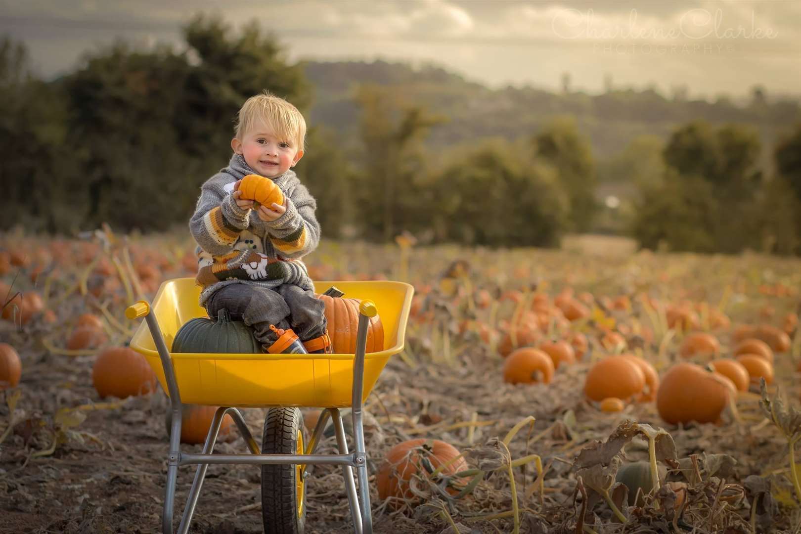 Families will be able to pick the spooky orange squashes at Pumpkin Moon