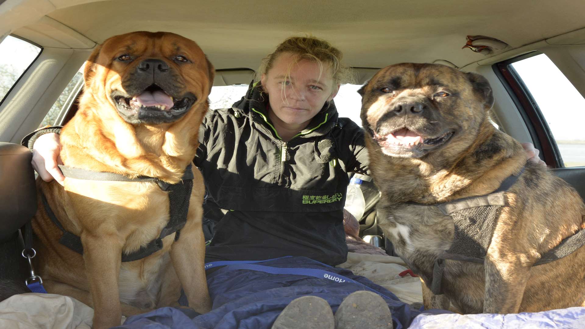 Helen McQuilliams, who is homeless and living in her Ford Focus estate on Raspberry Hill Lane with her two dogs