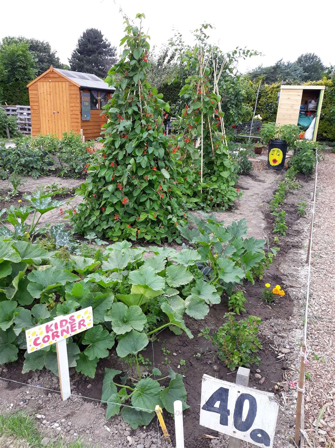 Lost the Plot is an allotment project in Telegraph Road led by mental health support group Talk It Out