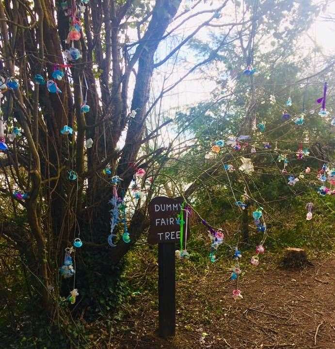 The Dummy Fairy Tree as it used to look. Picture: Mucky Munchkins