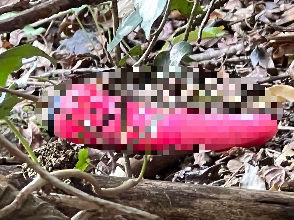 A censored sex toy found at Borden Nature Reserve. Picture: Megan Carr