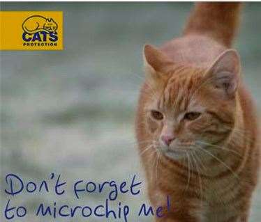 Cats Protection has long campaigned for cats to be chipped like dogs