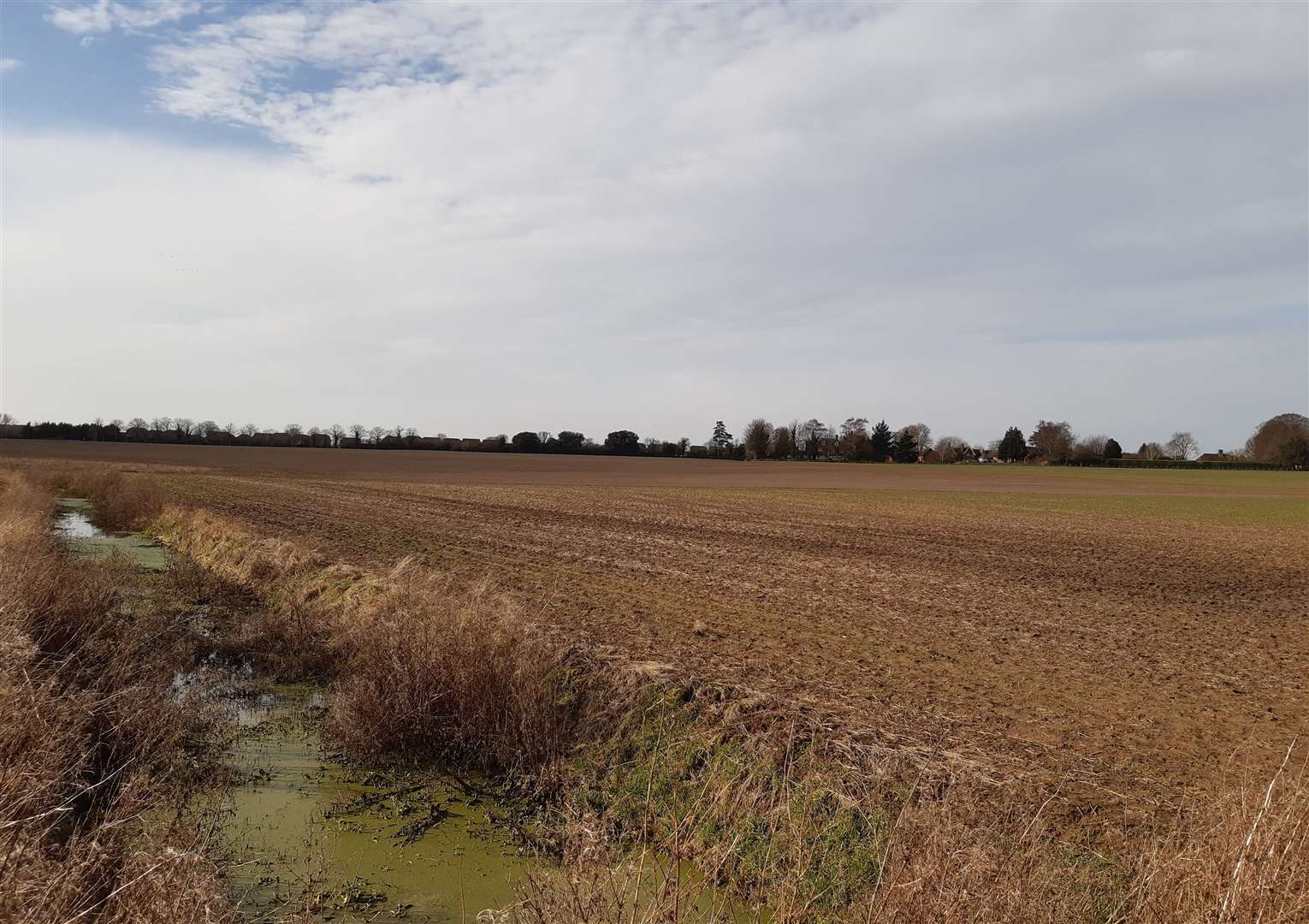 Part of the 81.5-acre 'Large Burton' site off Willesborough Road in Ashford