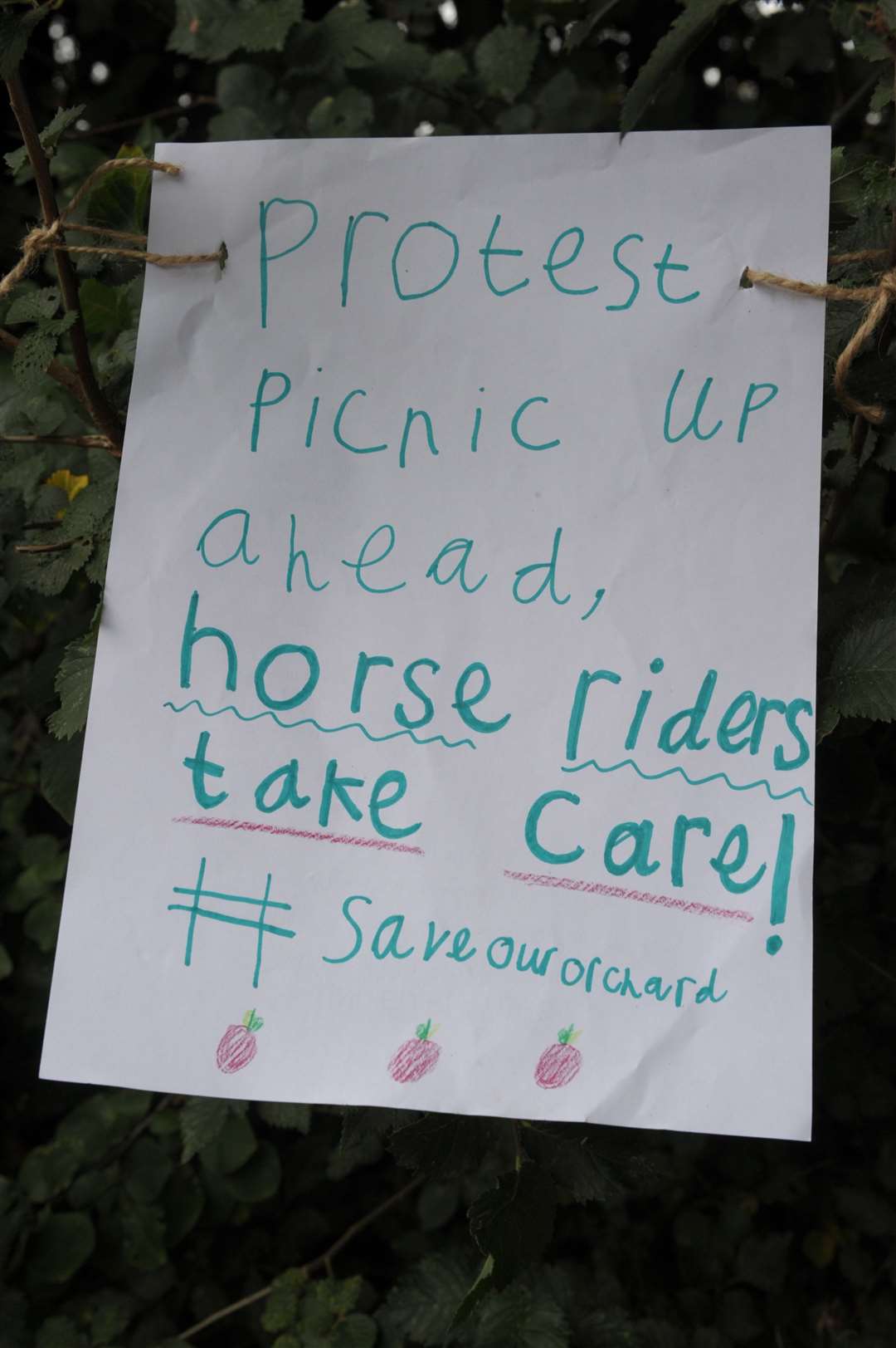 Orchard between Pump Lane and Lower Bloors Lane..Protest picnic..Picture: Steve Crispe. (14405157)