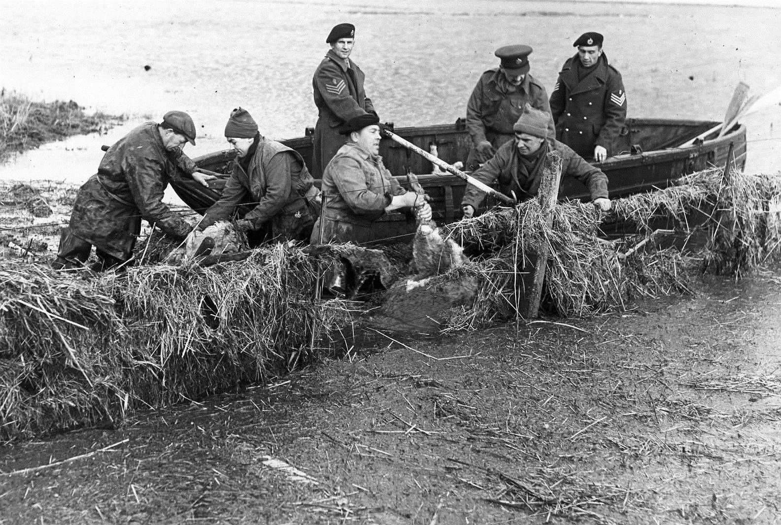 Royal Engineers from Chatham searching for drowned animals on the marshes of Sheppey in 1953