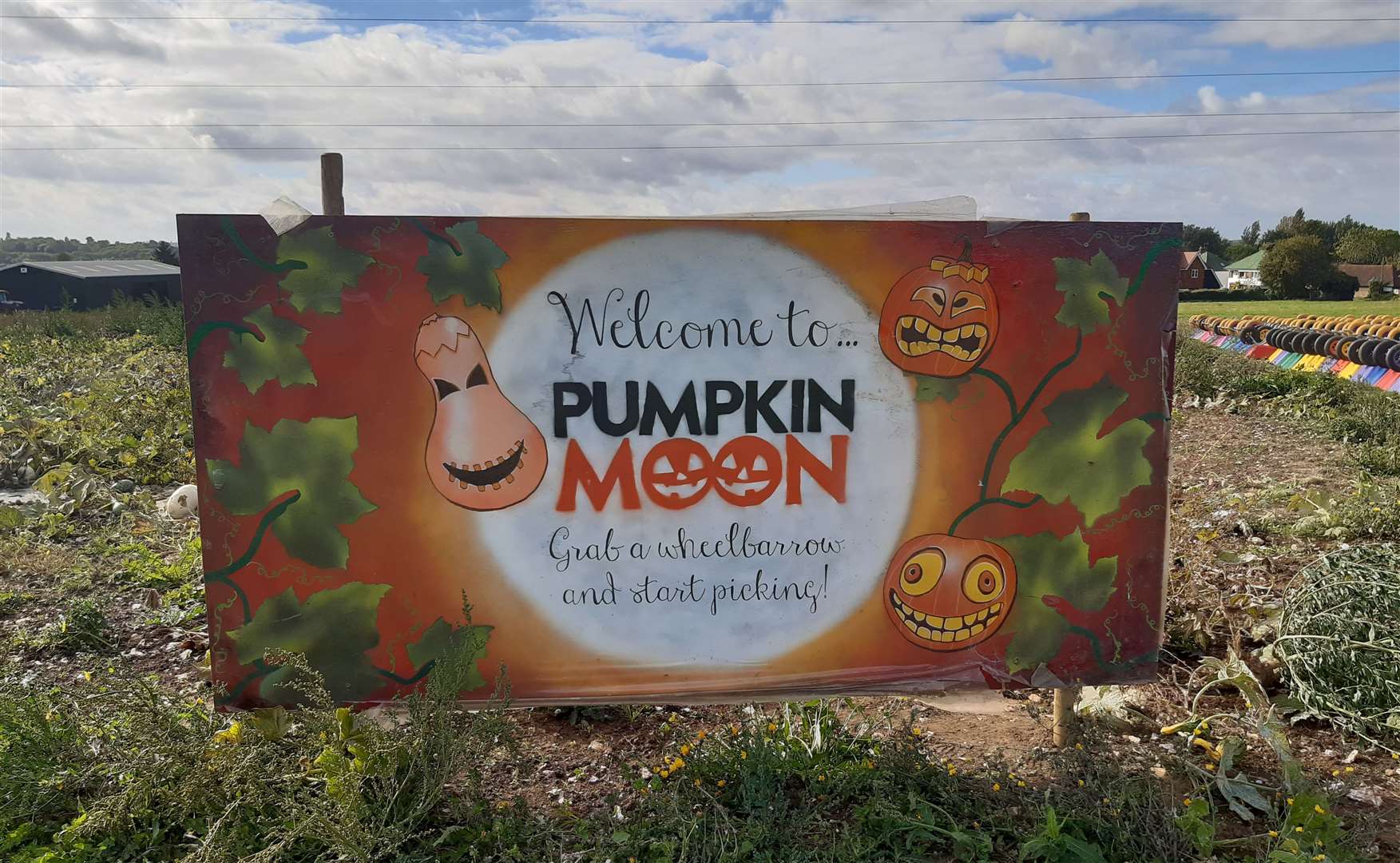 Pumpkin Moon in Sandling, Maidstone, is open every weekend this month