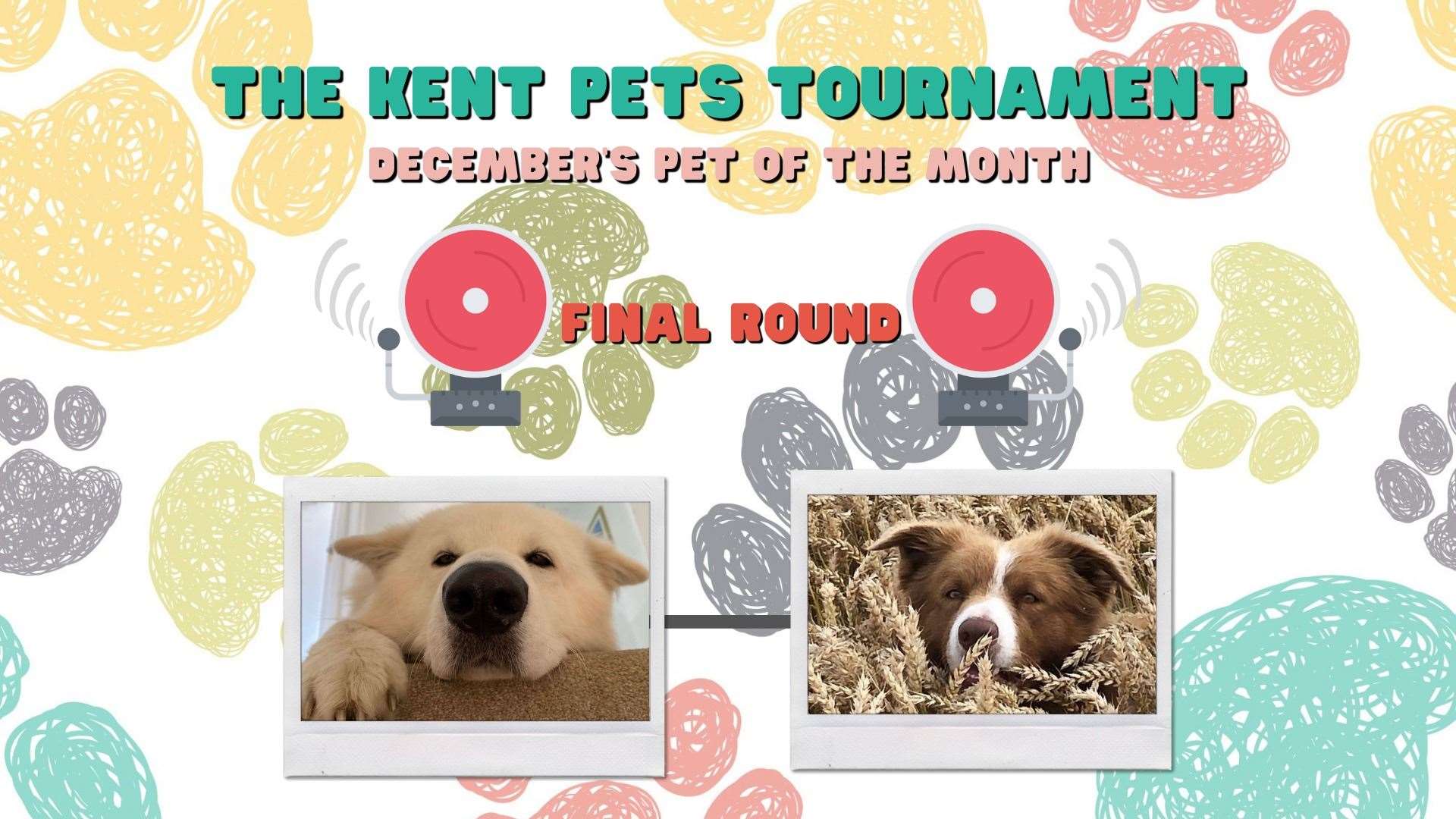 Who should win December's Pet of The Month?