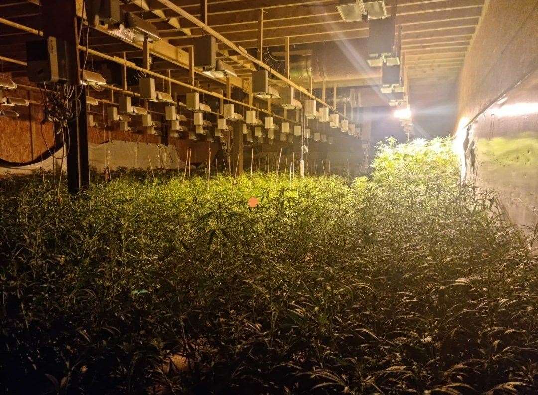 Three people have been jailed after thousand of cannabis plants were found in the former Merlins entertainment complex in Leysdown. Picture: Kent Police