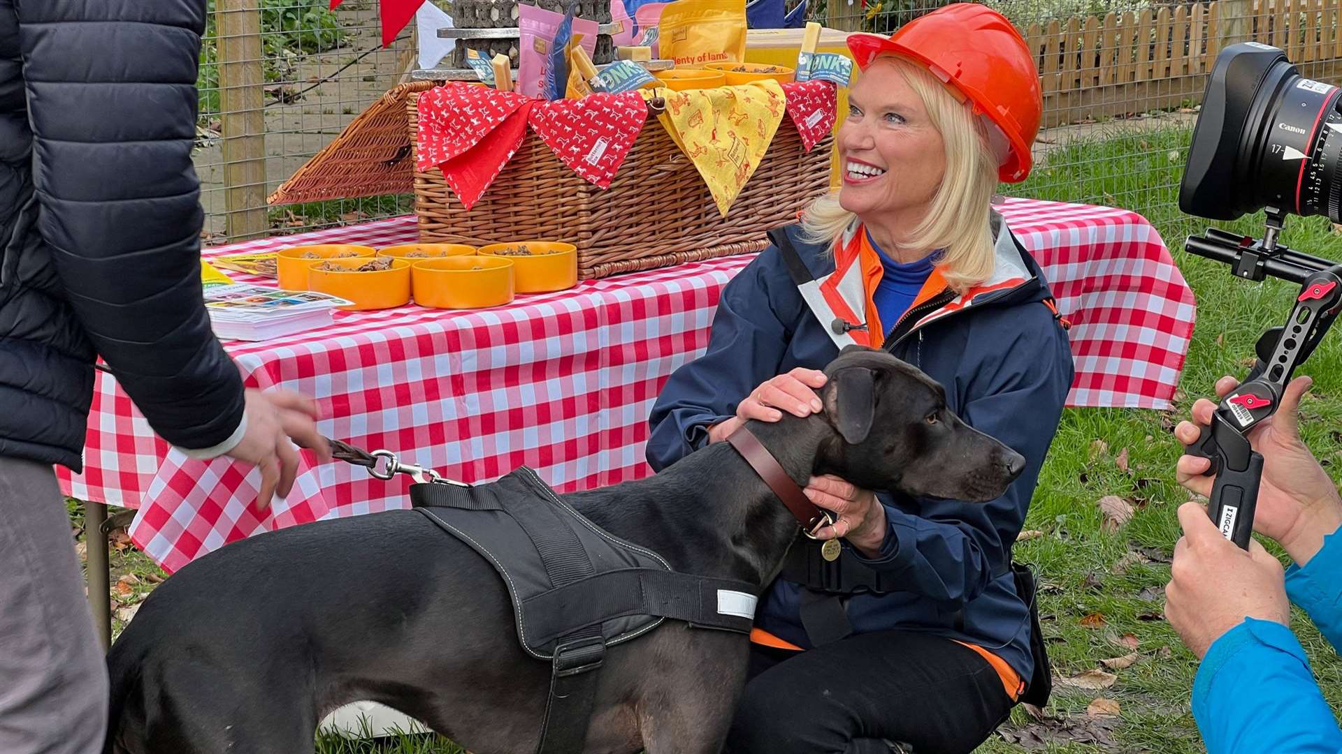 The first episode of the Challenge Anneka reboot, filmed at Foal Farm in Biggin Hill, will air tonight. Picture: TwoFour