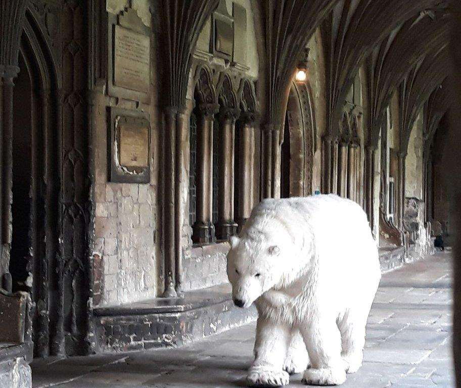 Paula the polar bear visit the cathedral