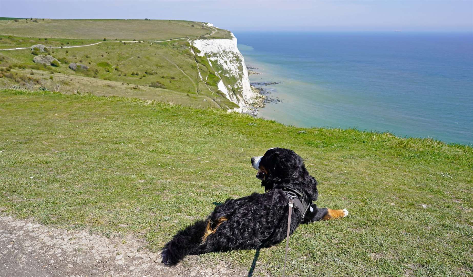 The walks take place in several different coastal and countryside locations. Picture: iStock