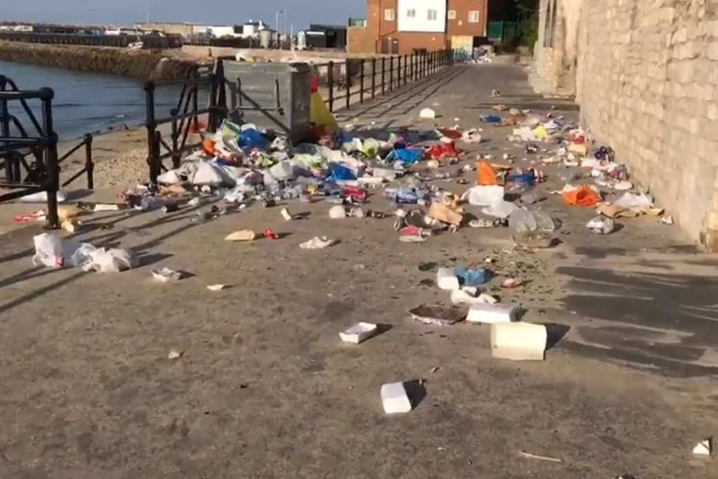 Questions have been raised about whether more bins are required. Pictures: Bradley Burgess