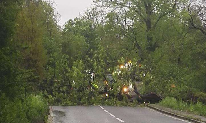 A tree fell on car on Canterbury Road in Herne