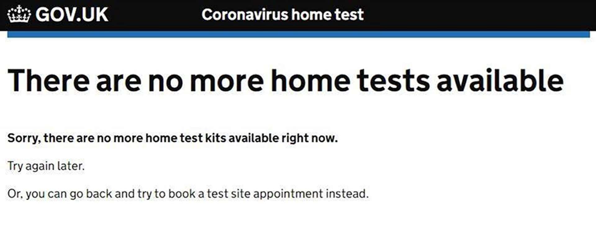 No more home tests were available (UK Government/PA)