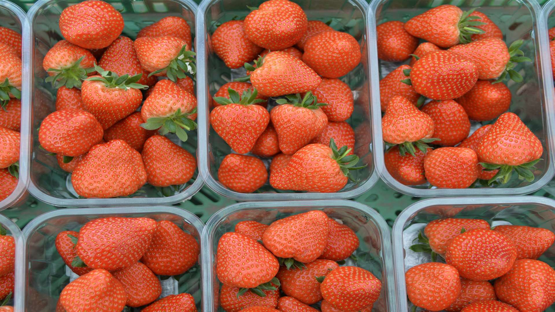 Strawberries covered in poisonous chemicals were stolen from a farm in Ulcombe. Stock image