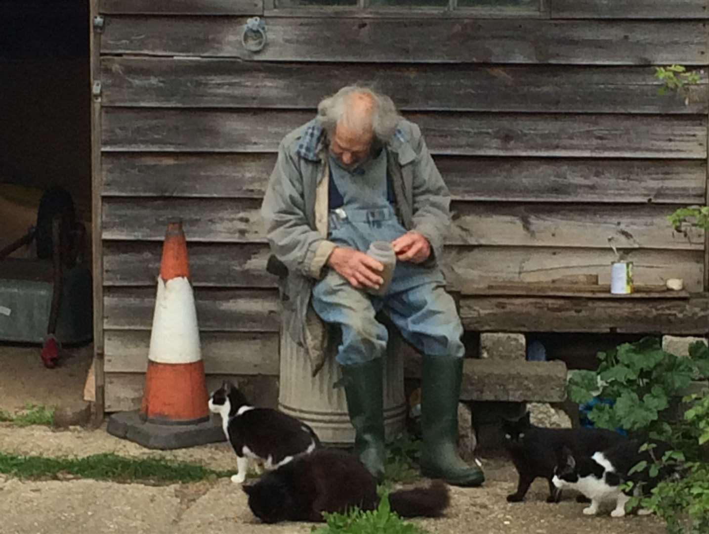 The owner with some of the 29 cats he looks after. (10443666)