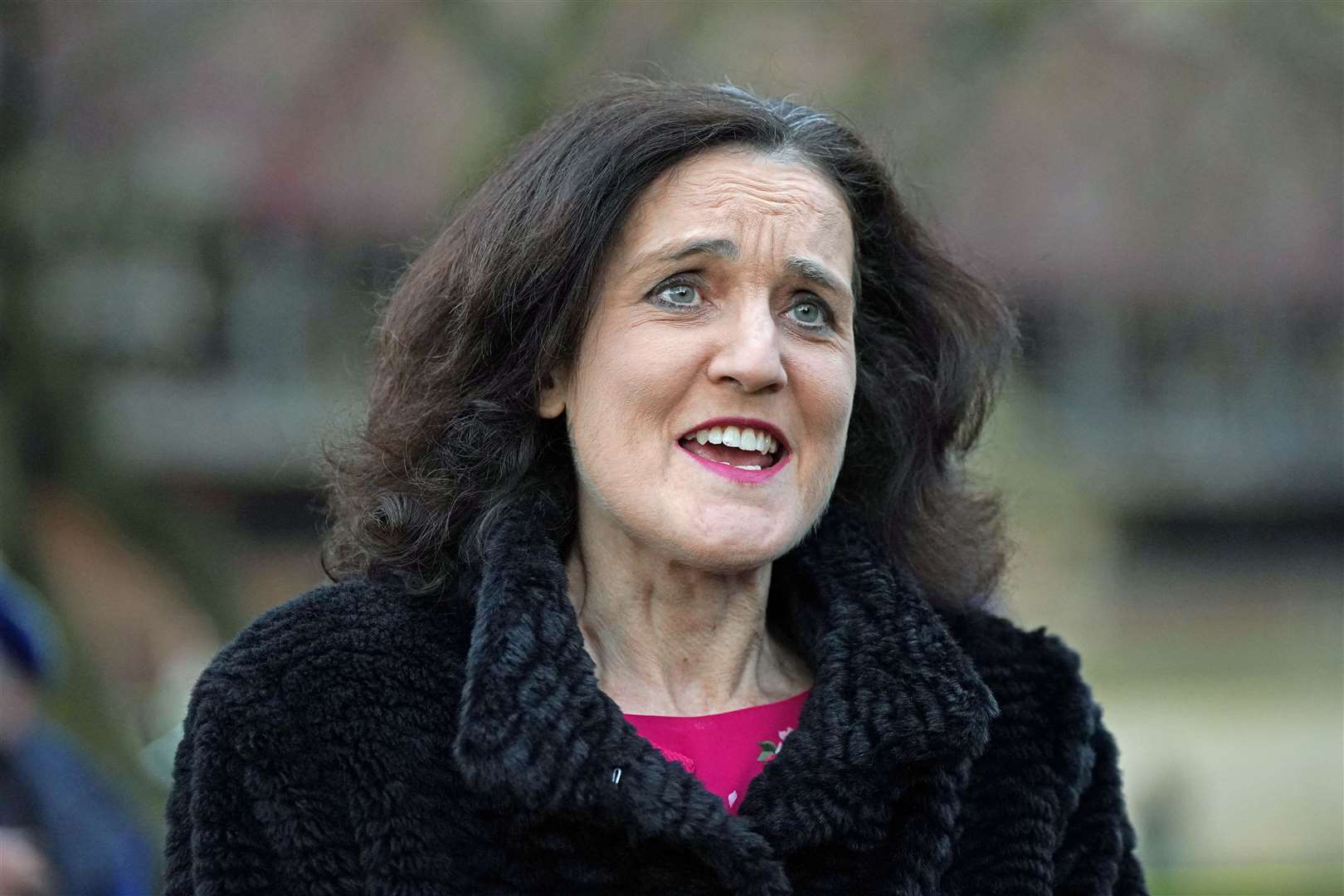 Former Northern Ireland secretary Theresa Villiers asked whether Northern Ireland could be ‘levelled up’ (Yui Mok/PA)