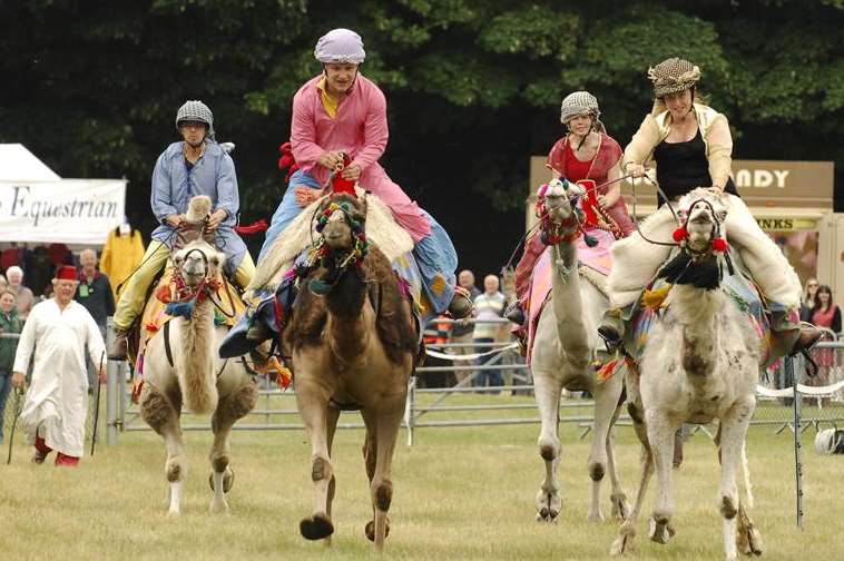 Camel racing at the Kent County Show
