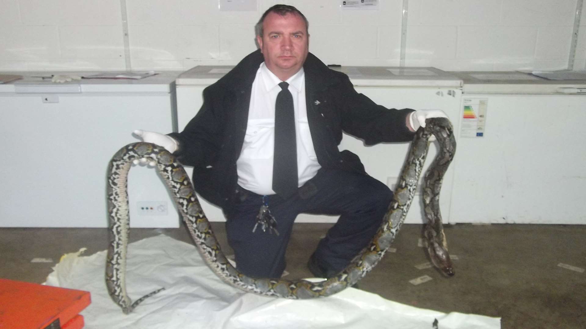 Brian Milligan, from the RSPCA, with the dead snake