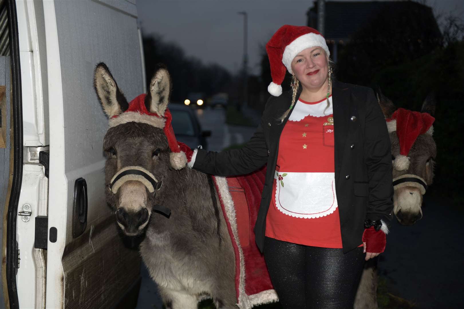 Natalie Davies with Santa's donkeys. Picture: Barry Goodwin