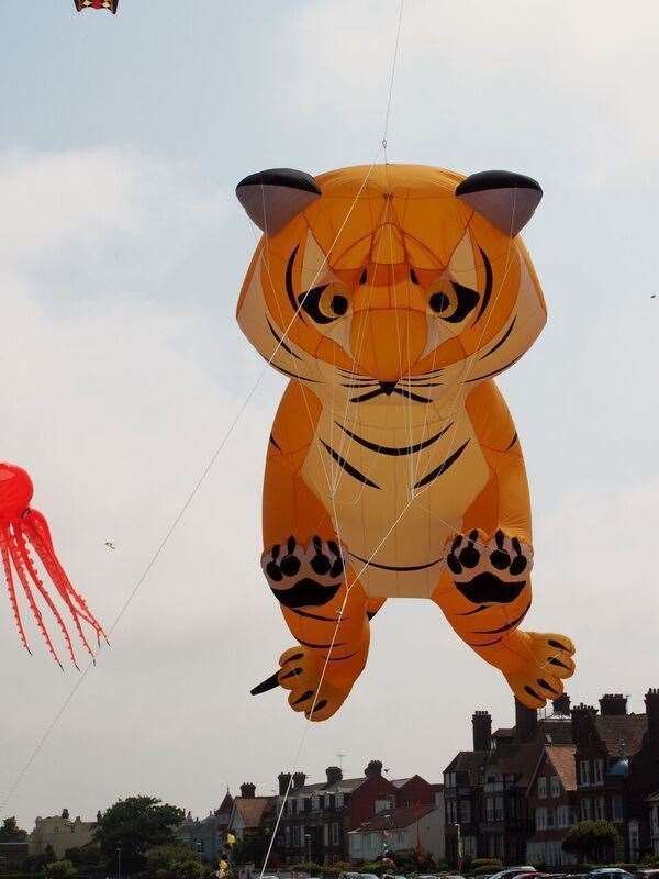 A flying tiger at one of Kent Kite Flyers' previous visits to Walmer Green
