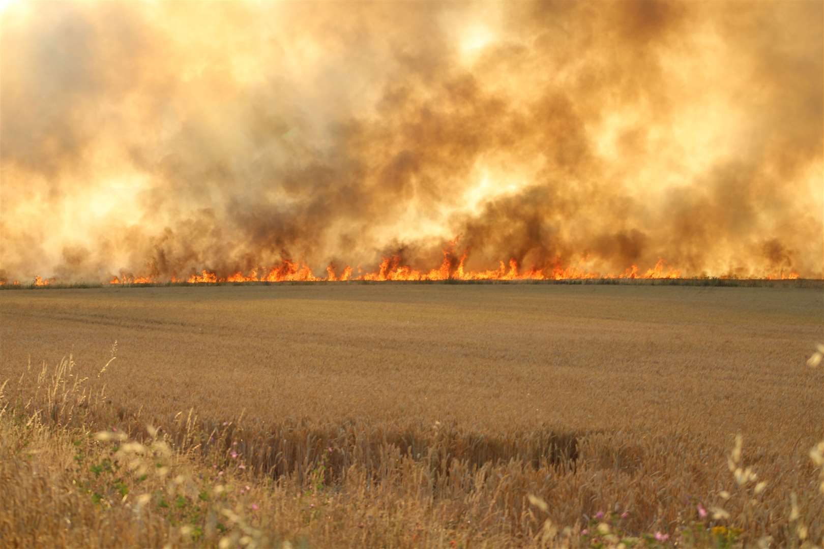 Teams tackle the flames. Picture: Emma Campbell