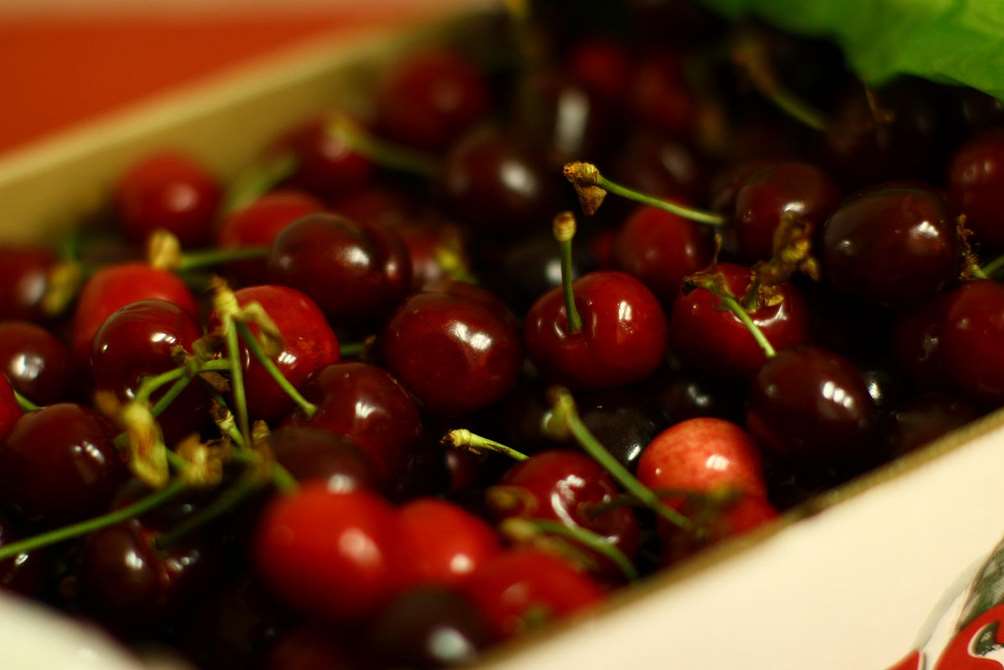 The couple were fined after enjoying cherries under a tree in Canterbury
