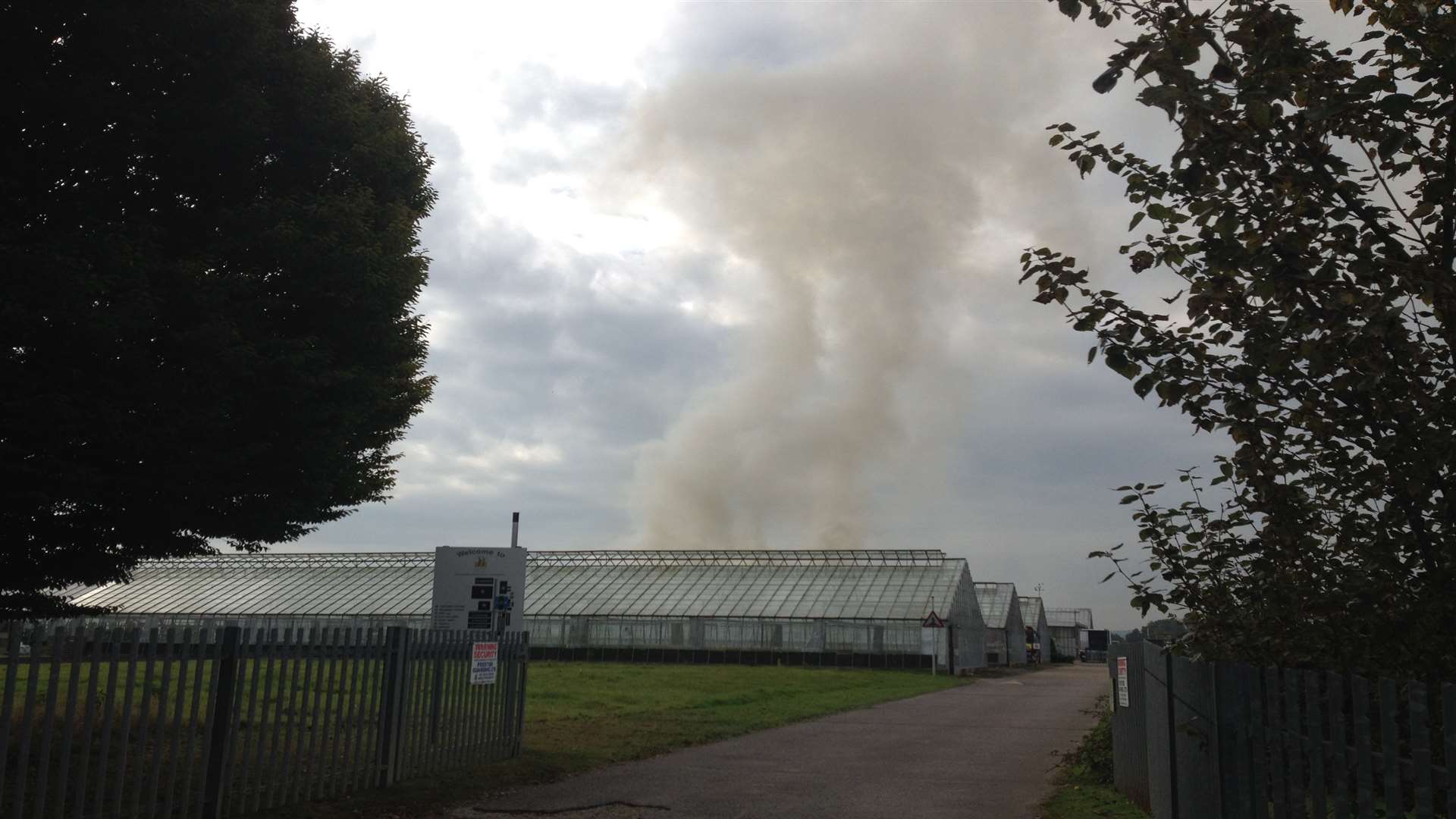 Smoke seen billowing from the greenhouse in Hadlow