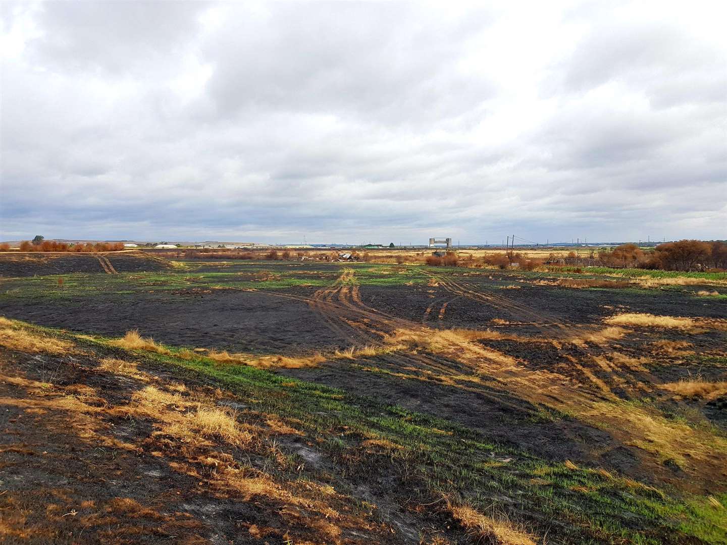 The aftermath of the fire on Dartford Marshes. Images: Matt Thomas