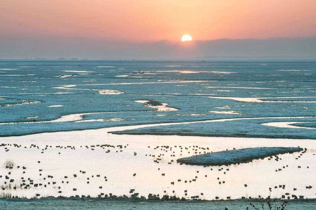 Elmley Nature Reserve on the Isle of Sheppey. Picture: Gareth Fulton