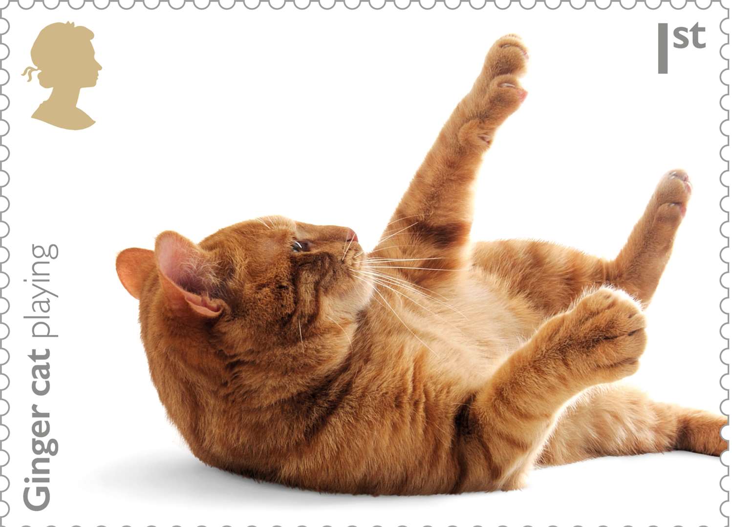 One in four UK homes has a cat. Picture: Royal Mail.