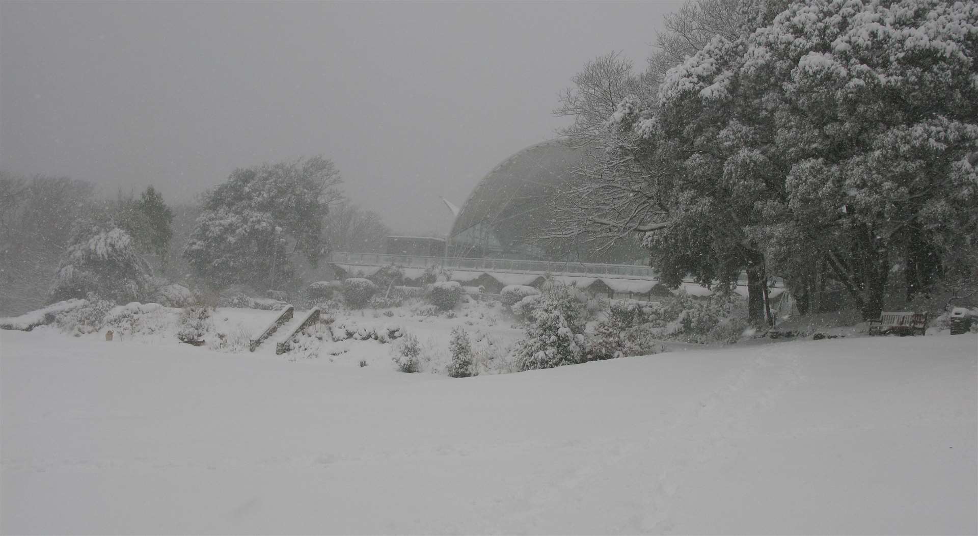 A snowy scene in Enbrook Park in 2020. Picture: Karen Dawney