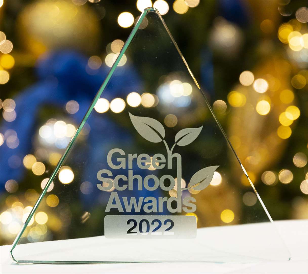 The awards are given to schools that have undertaken projects or initiatives that help the environment. Picture: Martin Apps