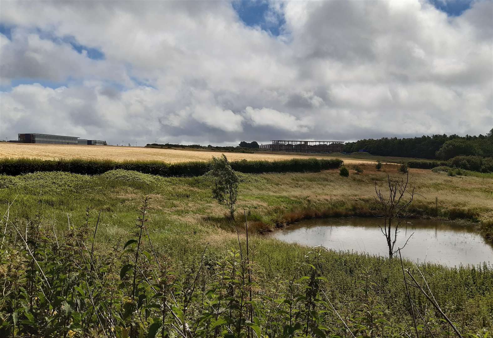 Part of the 150-acre site earmarked for development between Trinity Road and Sandyhurst Lane
