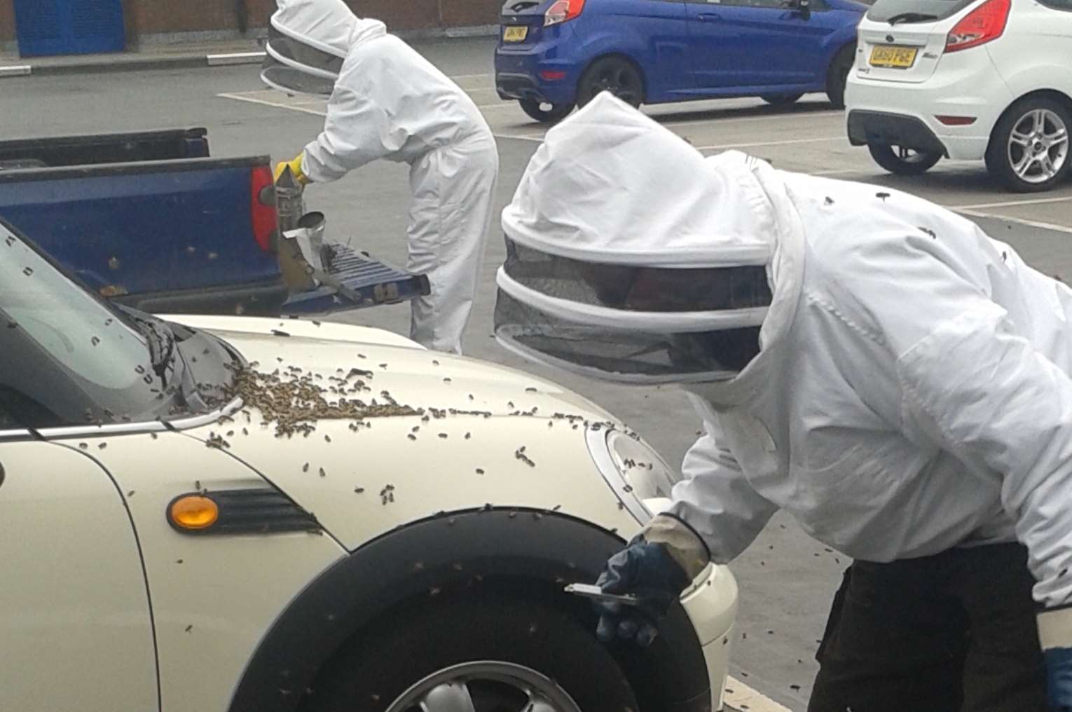 Beekeepers tending to the car