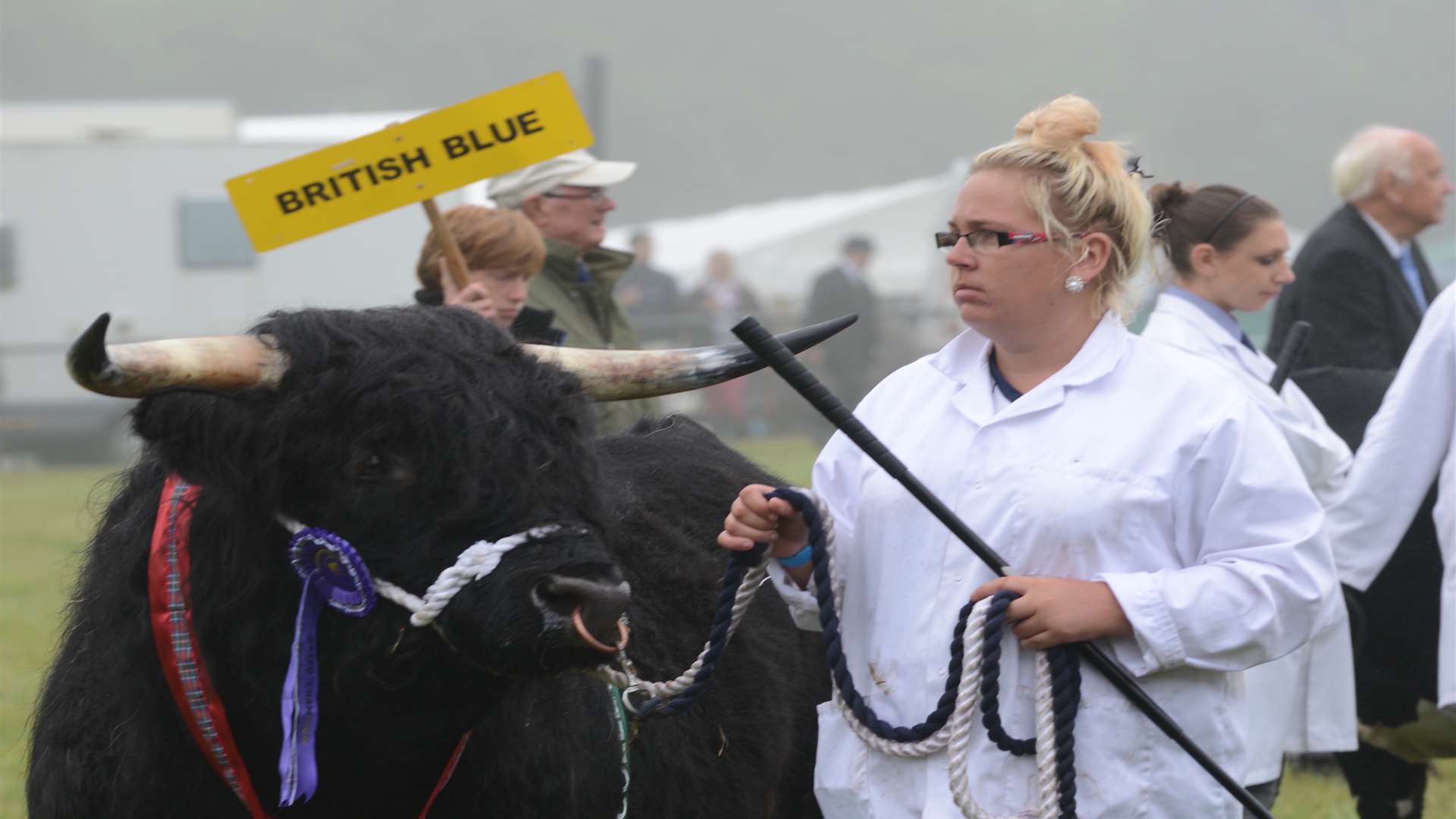 The Grand Parade of Livestock is a highlight of the show