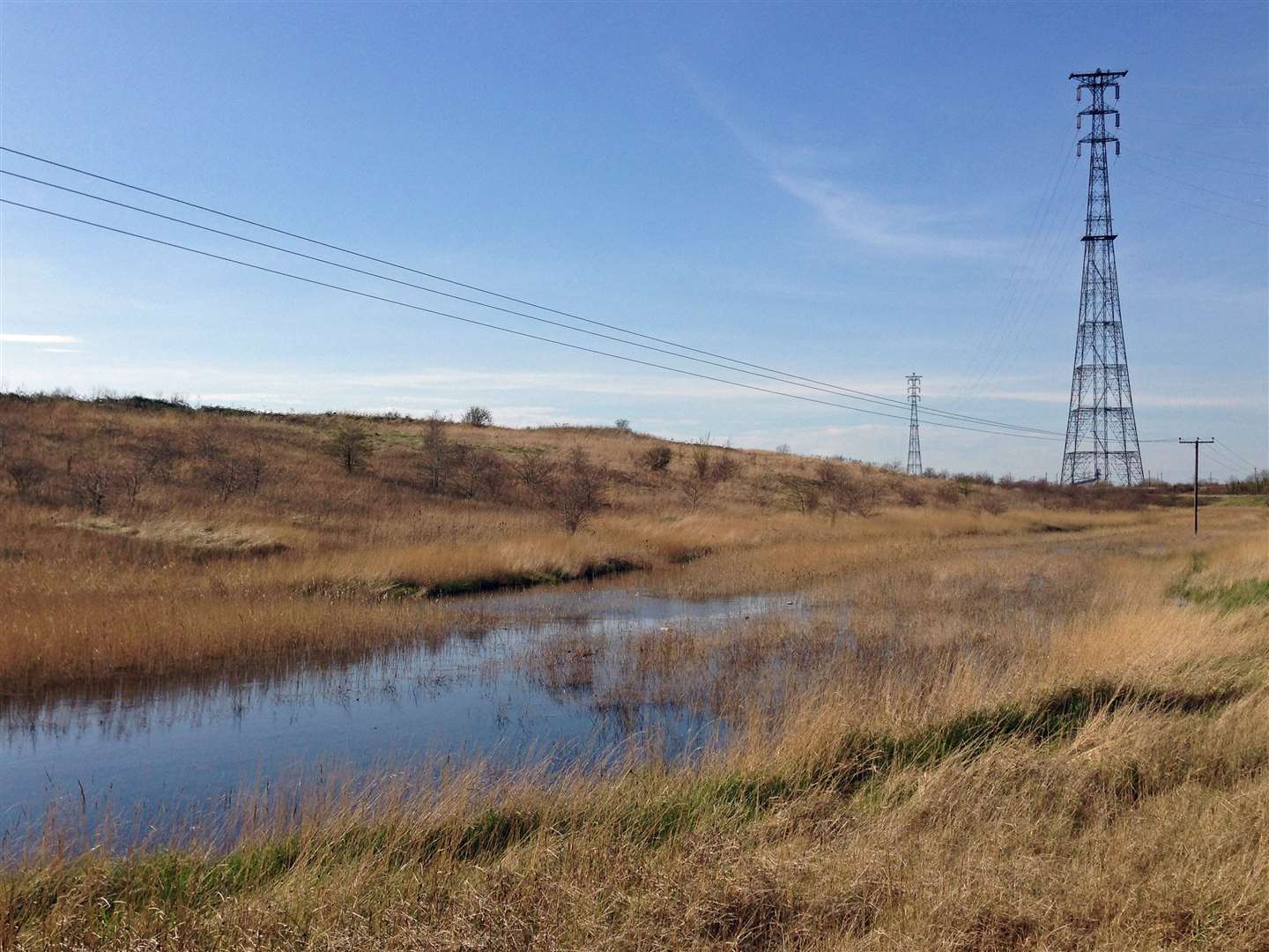 The Swanscombe Marshes are subject to a bid from conservation groups urging to protect the land from development by the London Resort theme park. Picture: Diamond Geezer