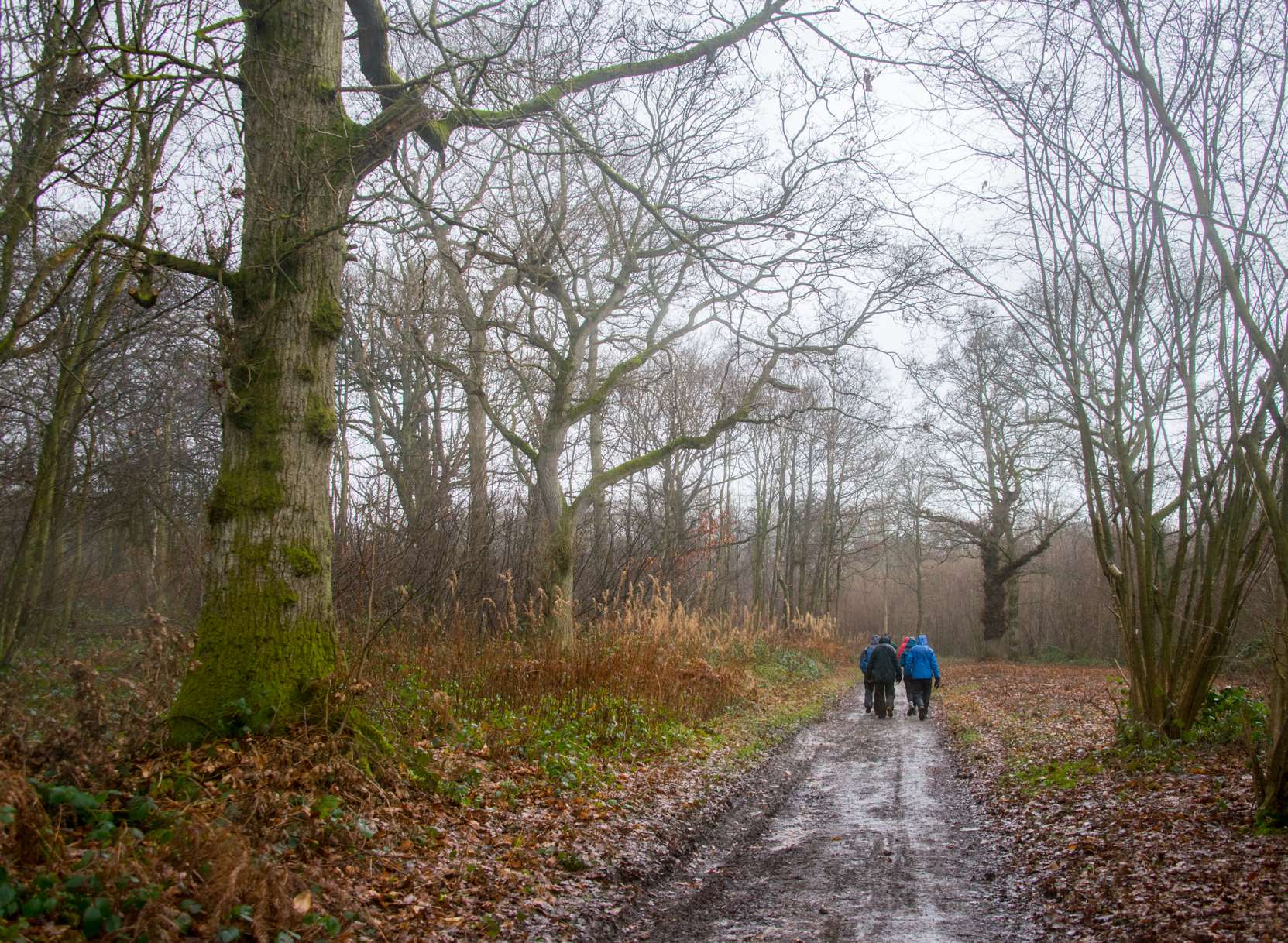 The Woodland Trust needs to raise £750,000