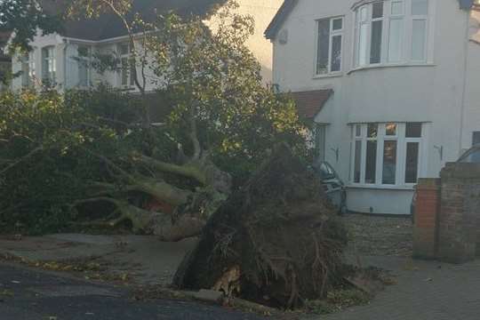 Sam Gurney spotted this fallen tree in Station Road, Herne Bay